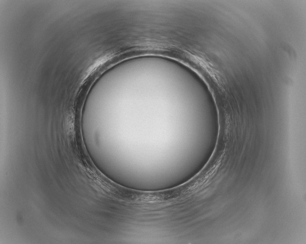 X0000115551307200911201752