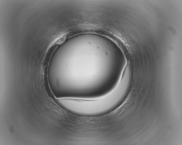 X0000115551309200911201752