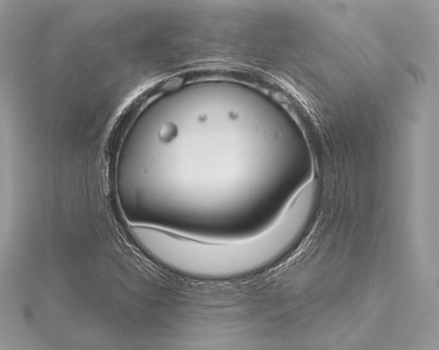 X0000115551310200911201752