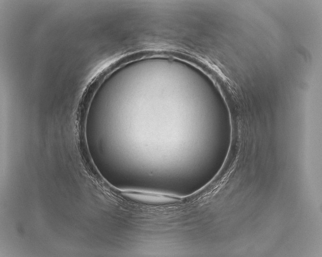 X0000115551311200911201752