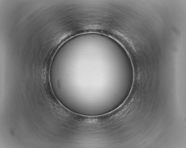 X0000115551313200911201752