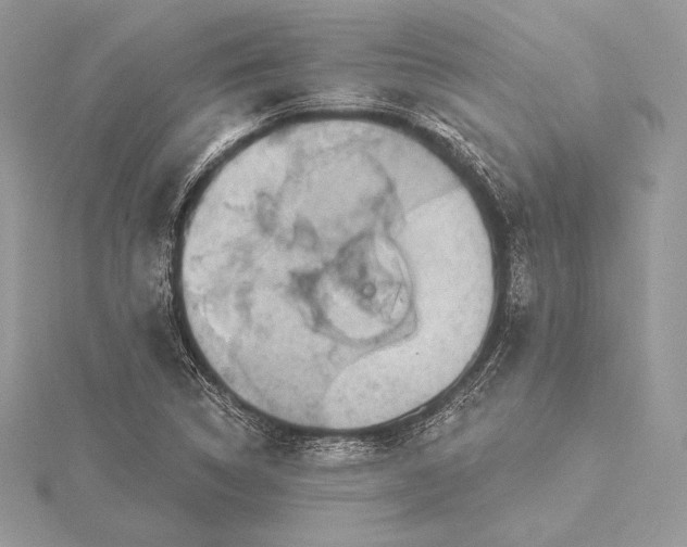 X0000115551314200911201752