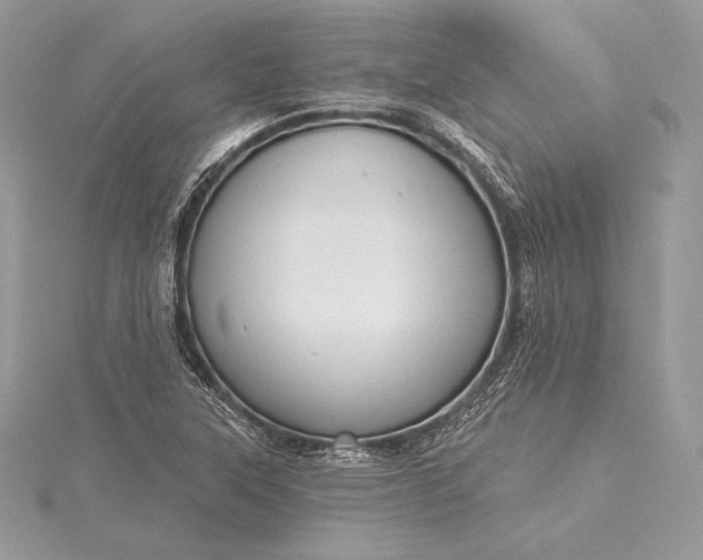 X0000115551315200911201752