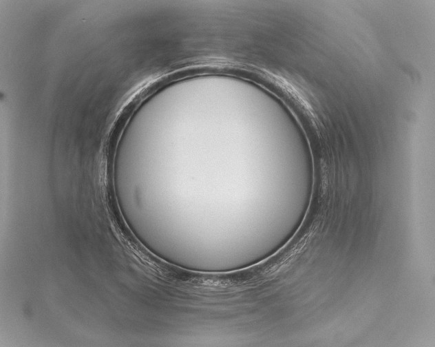 X0000115551318200911201752