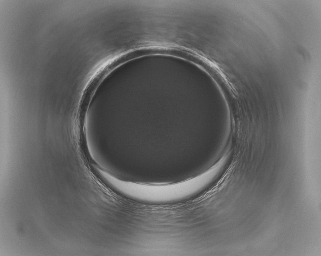 X0000115551319200911201752