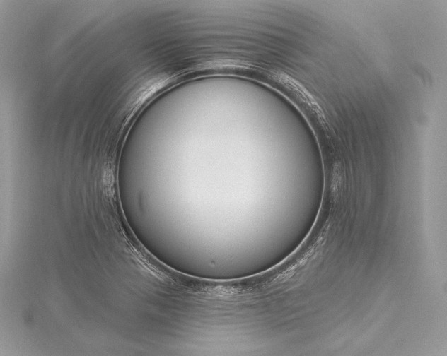 X0000115551321200911201752