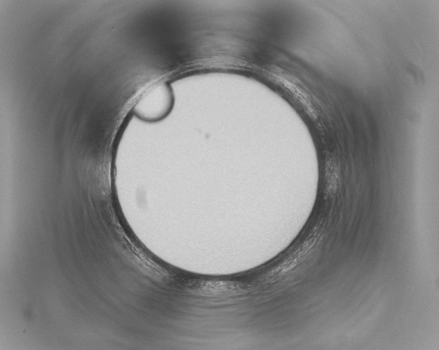 X0000115551322200911201752