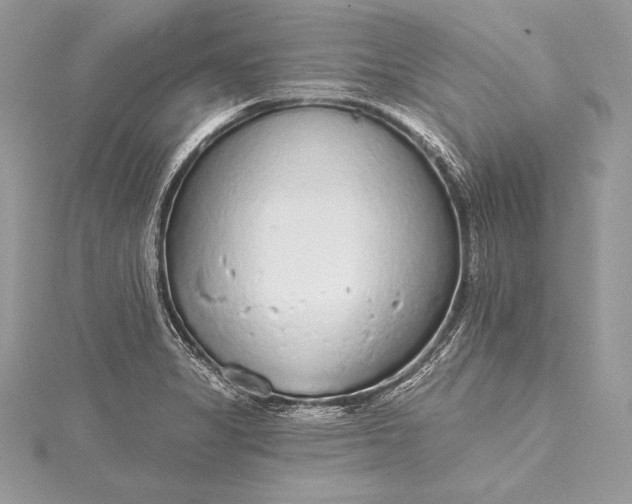 X0000115551325200911201752