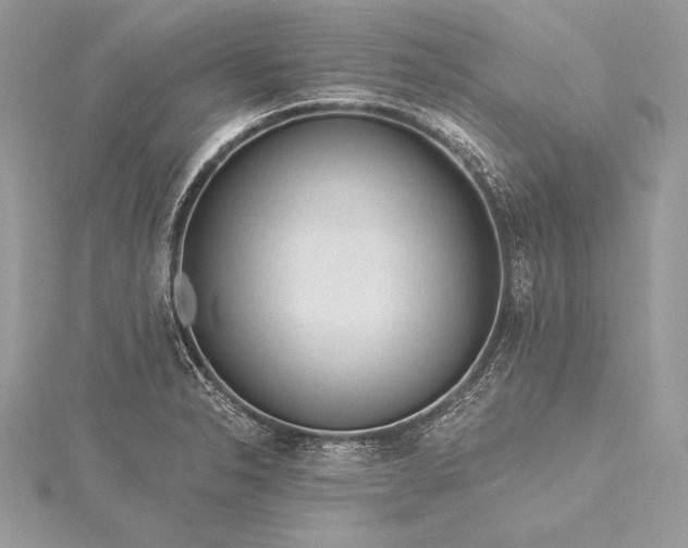 X0000115551326200911201752