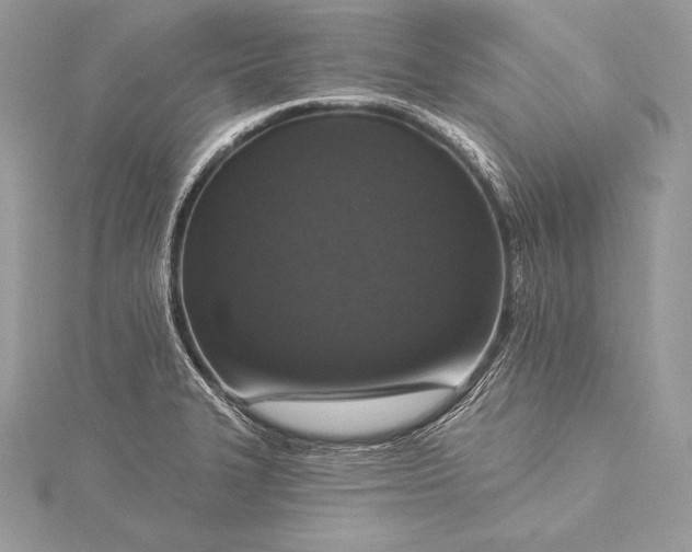 X0000115551327200911201752