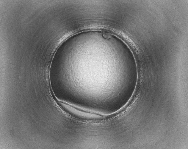 X0000115551329200911201752