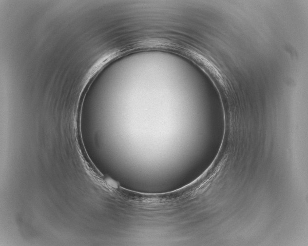 X0000115551330200911201753