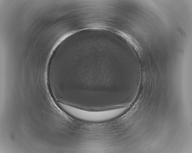 X0000115551331200911201753