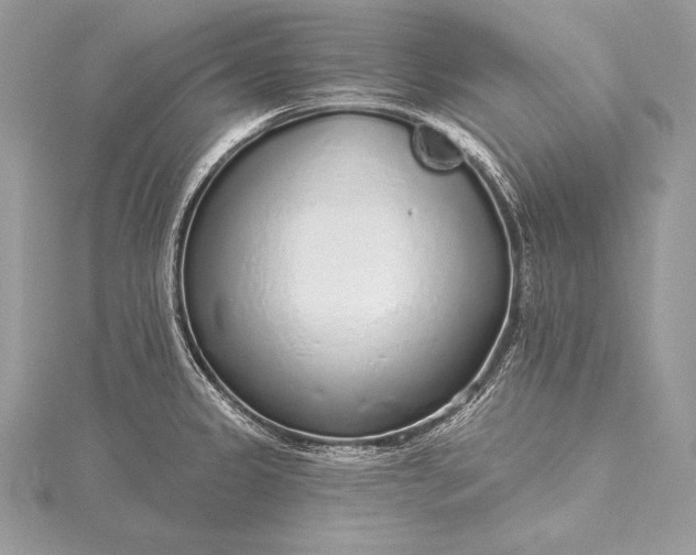 X0000115551333200911201753