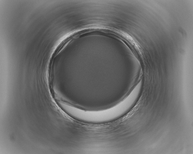 X0000115551334200911201753