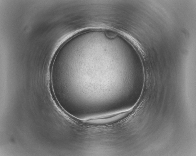 X0000115551335200911201753