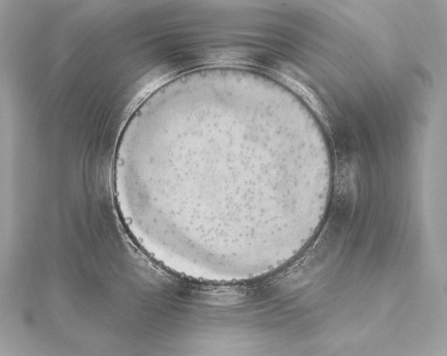 X0000115551338200911201753