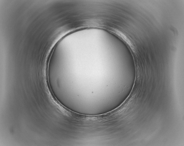 X0000115551339200911201753