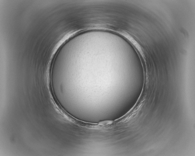 X0000115551341200911201753