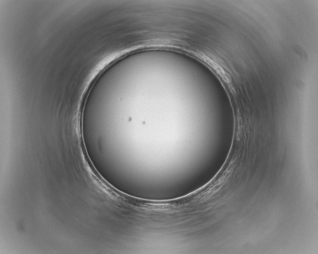 X0000115551342200911201753