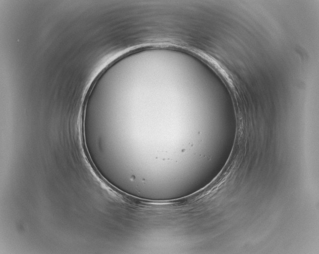 X0000115551343200911201753