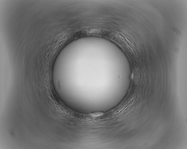 X0000115551345200911201752