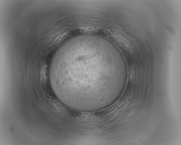 X0000115551346200911201752