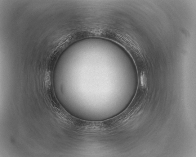 X0000115551347200911201752