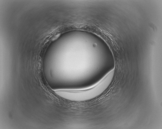 X0000115551349200911201752