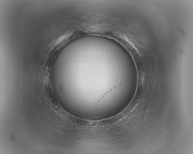 X0000115551350200911201752