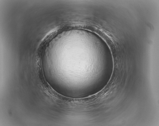 X0000115551351200911201752