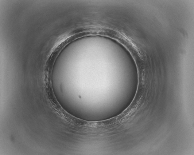 X0000115551352200911201752