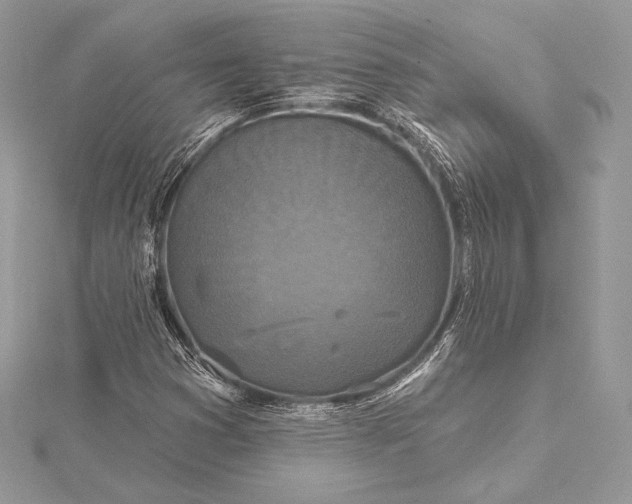 X0000115551353200911201752