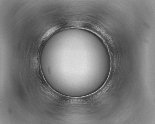 X0000115551354200911201752