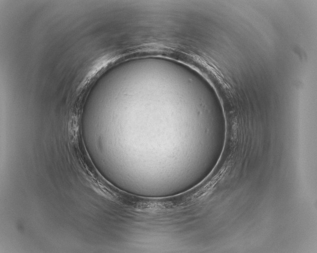 X0000115551355200911201752