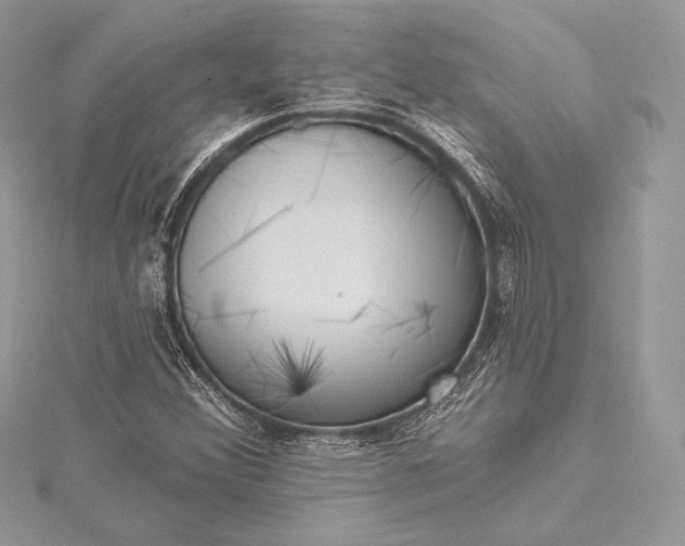 X0000115551356200911201752