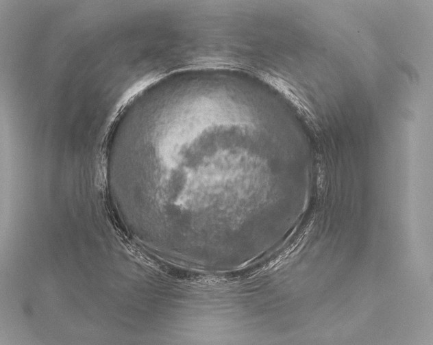 X0000115551358200911201752