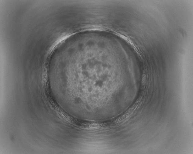 X0000115551359200911201752