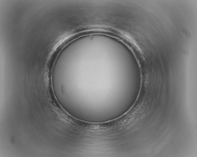 X0000115551360200911201752