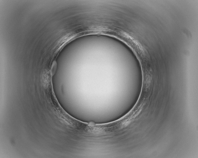 X0000115551361200911201752