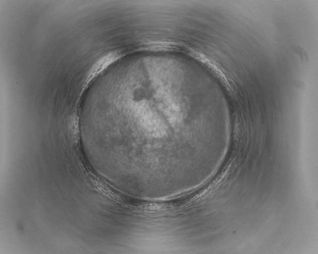 X0000115551362200911201752