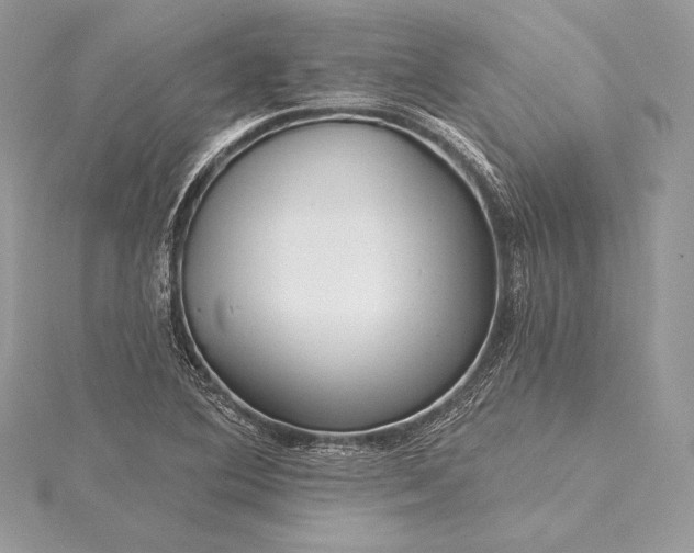 X0000115551364200911201752