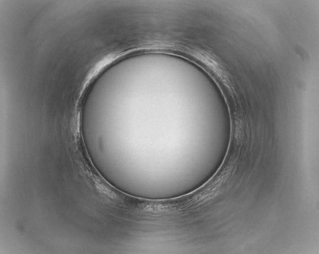 X0000115551366200911201752