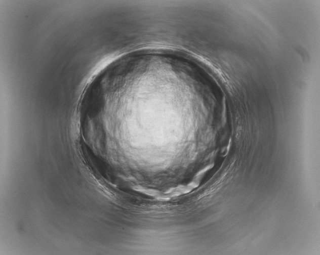 X0000115551367200911201752