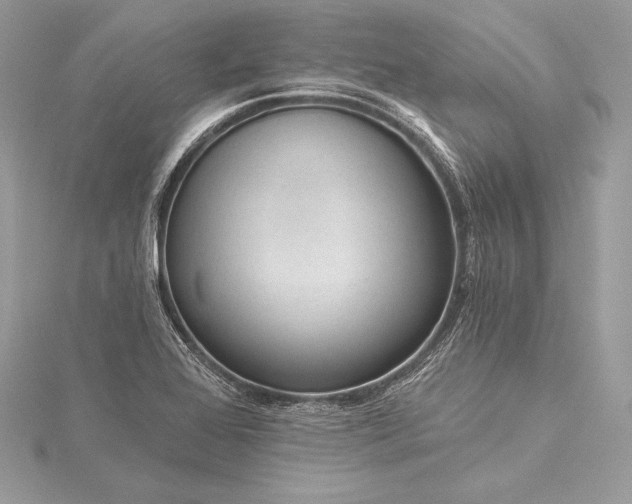 X0000115551368200911201752