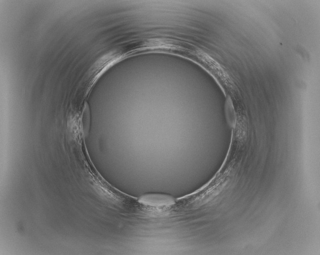 X0000115551369200911201752