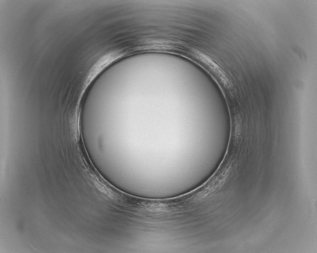 X0000115551370200911201752