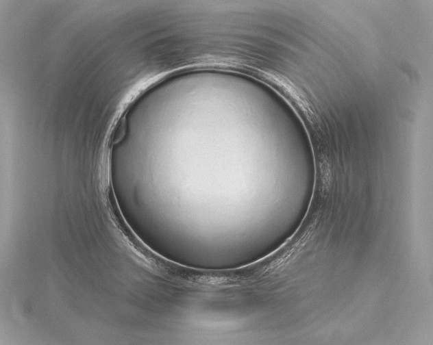 X0000115551371200911201752