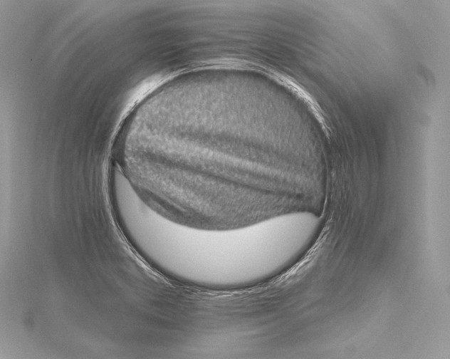 X0000115551373200911201752