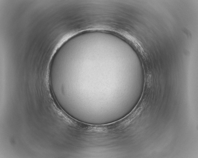 X0000115551374200911201752